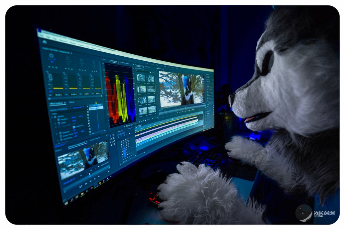 SteferdH's tweet photo. Work

#FursuitFriday https://t.co/ytkitPggQt