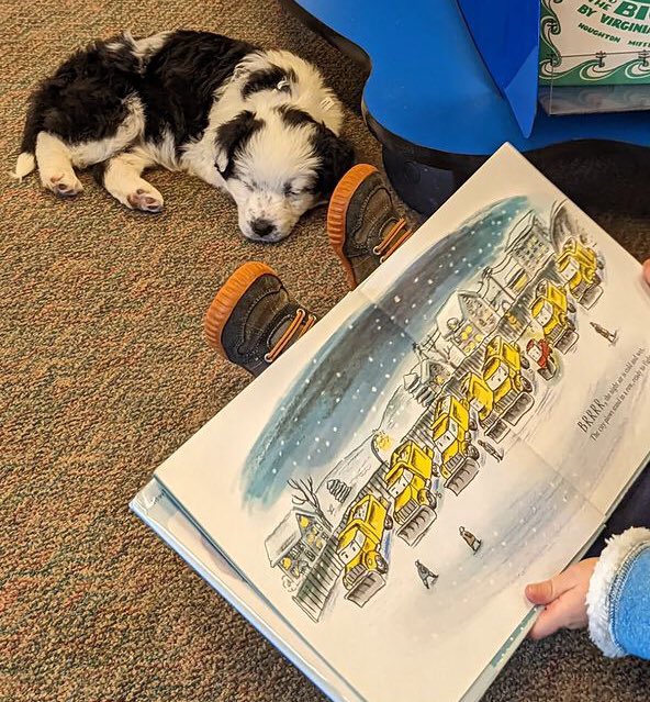 DAPopowski's tweet photo. @alixhawley My library patron of the week. https://t.co/cqtffOSKSb