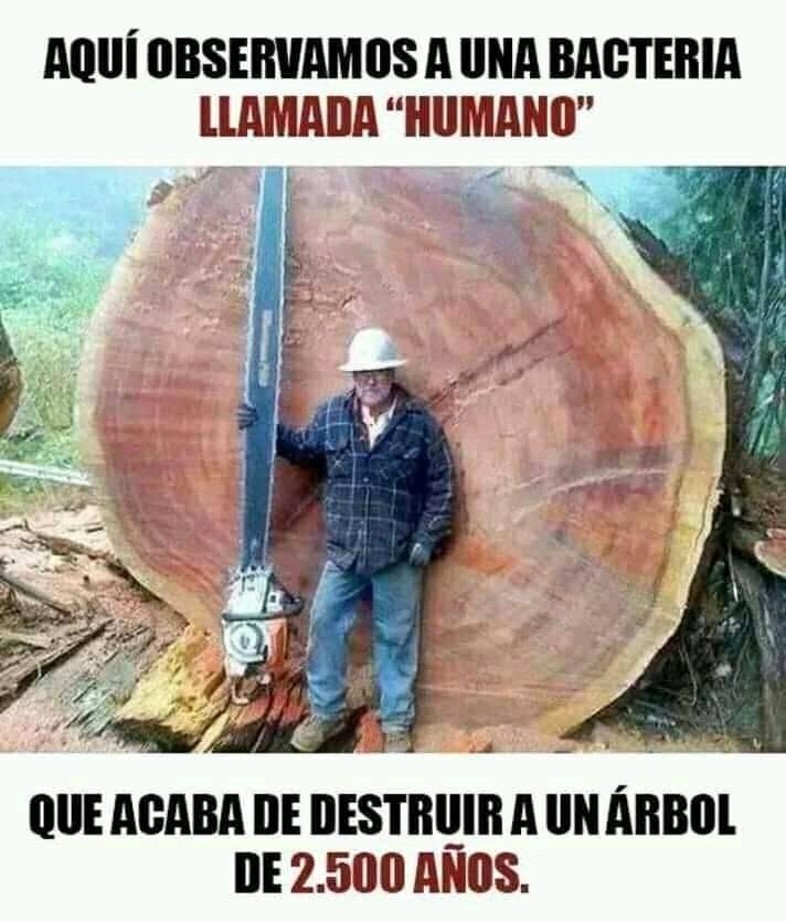 jose eduardo alviarez harinton (@harintonjose) on Twitter photo 