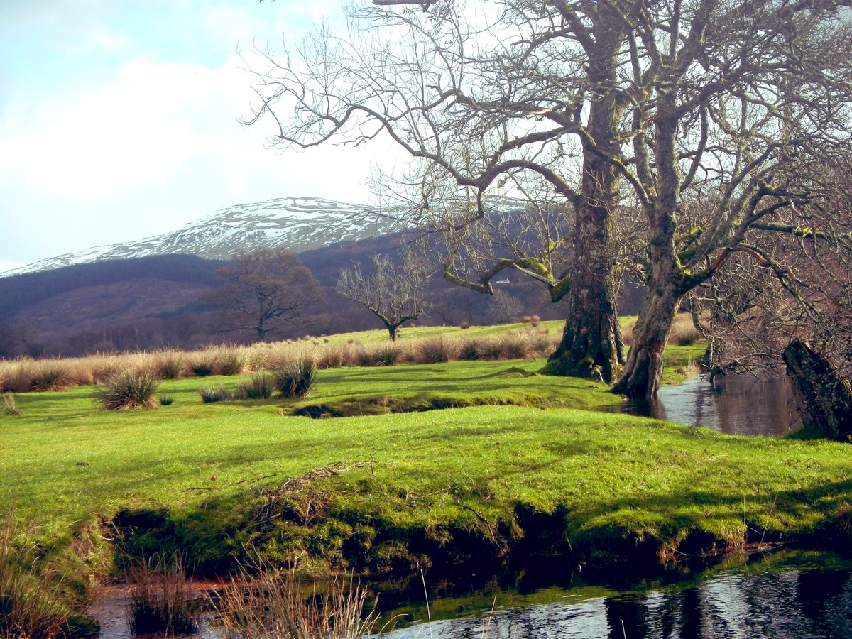 Dylan55871190's tweet photo. Loch Lomond &amp; The Trossachs National Park https://t.co/TSH4roqyMA
