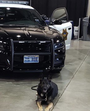 RenoPolice's tweet photo. Happy Retirement K9 Niko! Thank you for your 8 years of service and thank you Officer White for taking such good care of him! Enjoy your retirement! 

Beginning Watch 10/2014 - End of Watch 1/13/22
#RPDK9 #CongratsNiko #gooddog https://t.co/dg7gQUbH3F
