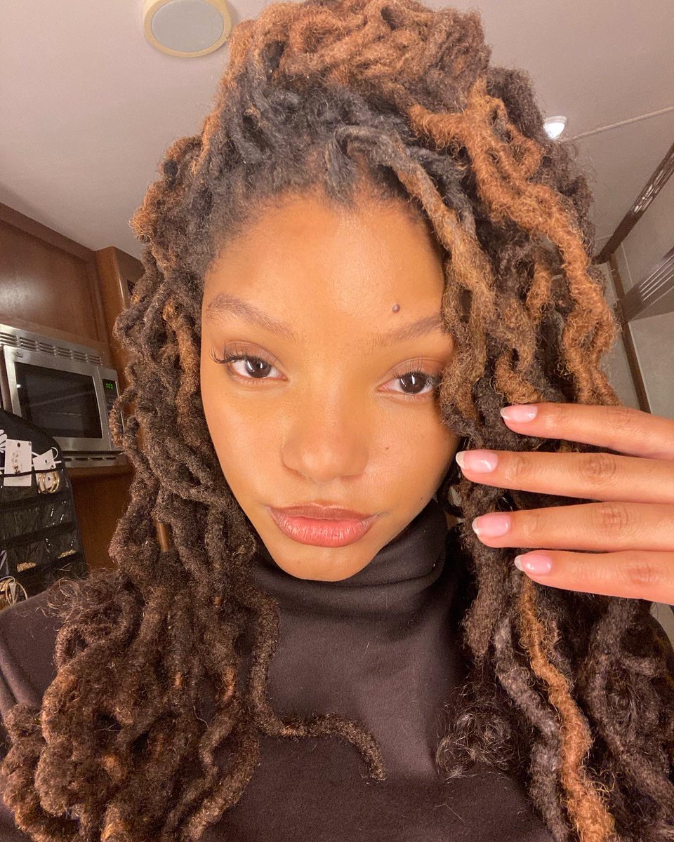 Halle tweet media