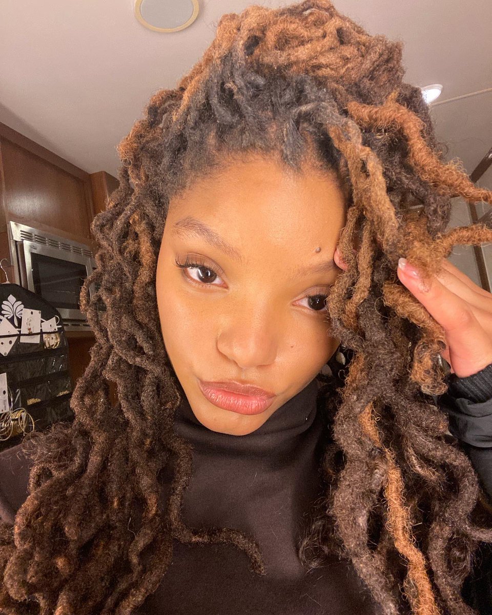 Halle tweet media
