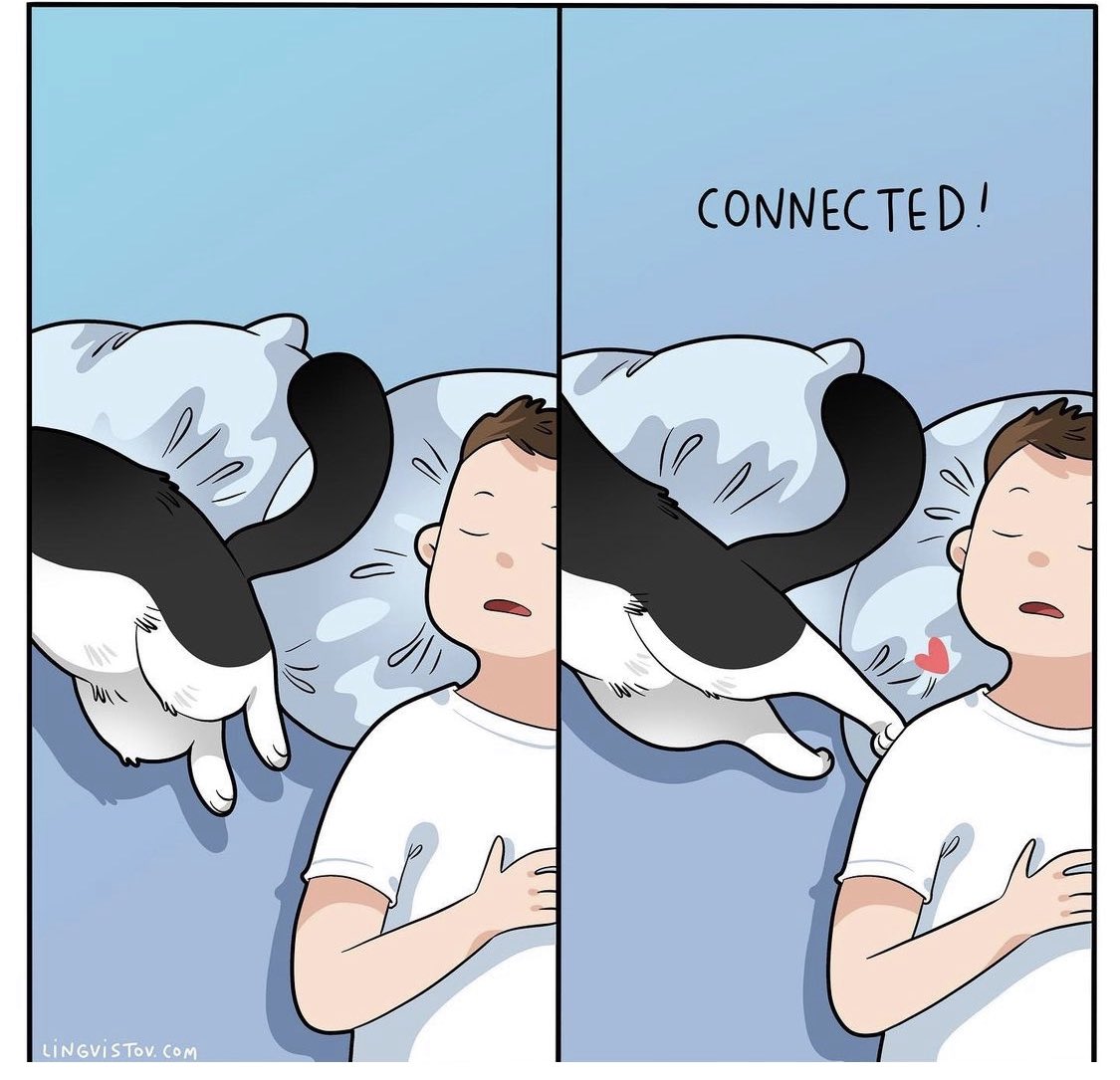 🐛🌷Dean🦋🪴 tweet media