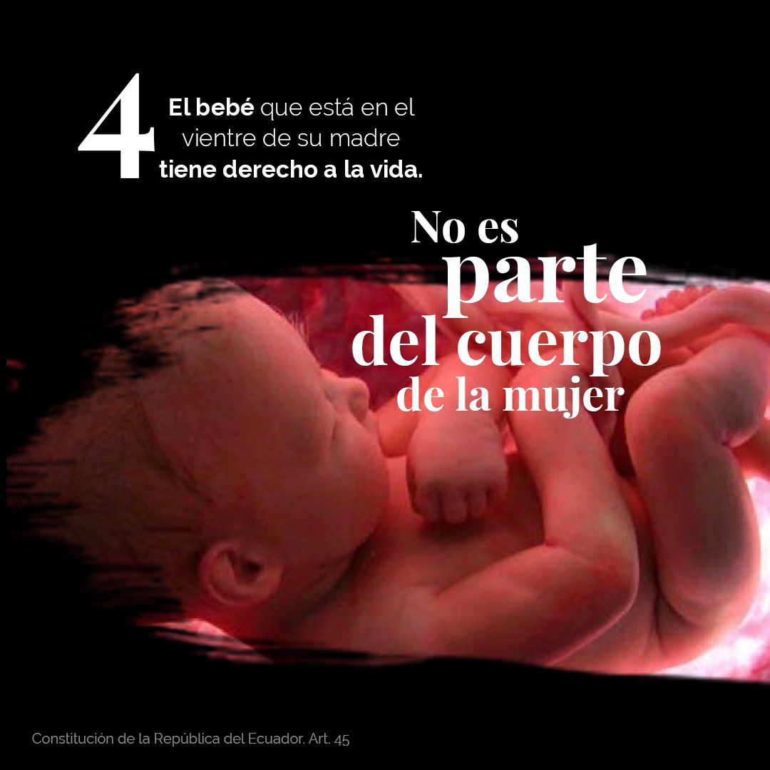 MLAlcivar's tweet photo. https://t.co/VRBjLkjGfp