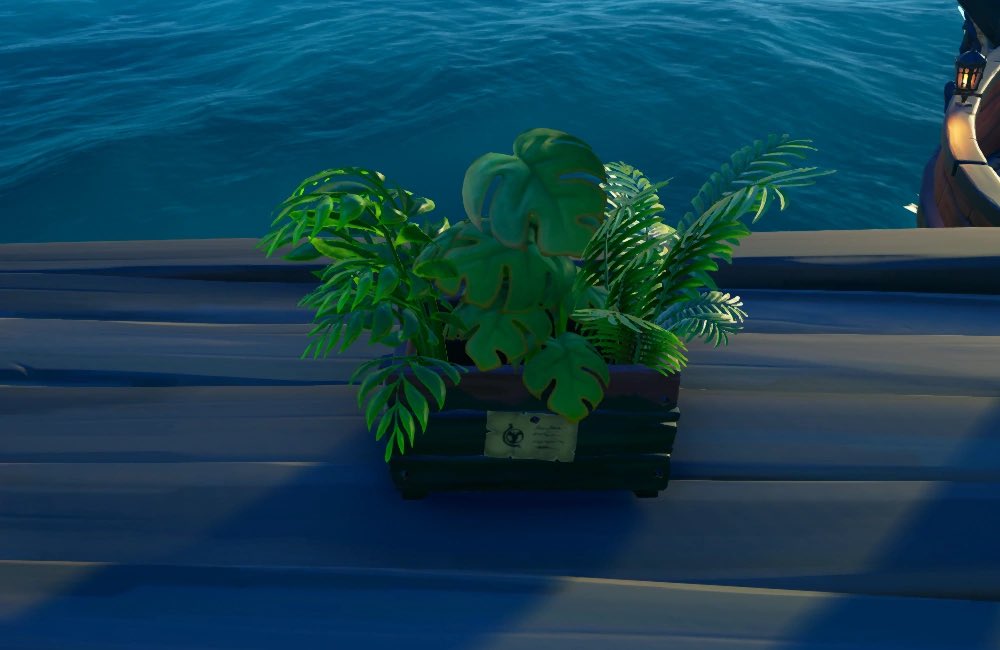 Lightskinhoncho's tweet photo. @SeaOfThieves Thee all mighty plant box🔥 https://t.co/EooxWwxvEv