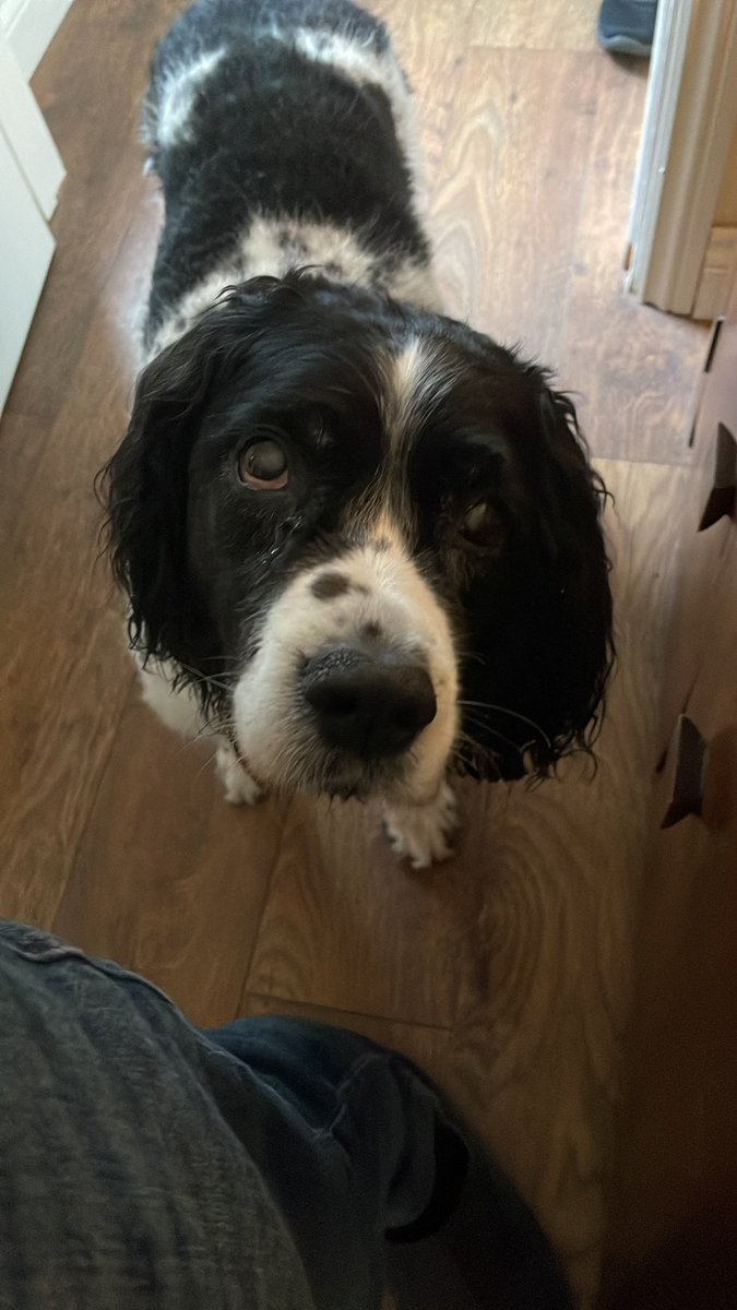 Happy Birthday to me - happy birthday to me - 119 today!  And it’s a Friday x