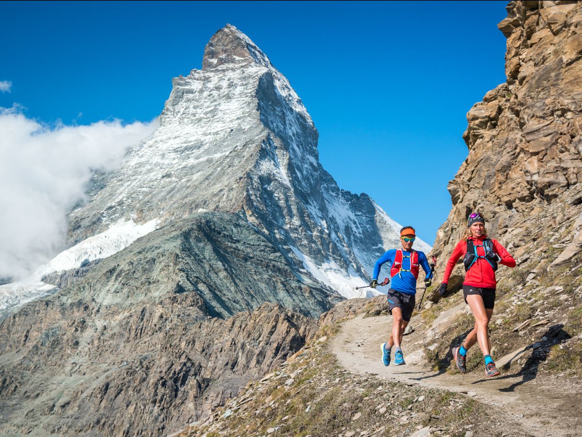 whichtrainingcamp tweet media