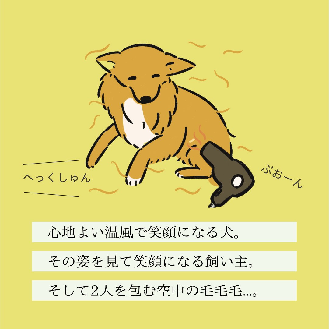 【変な犬図鑑】
No.136 ドライヤースキーヌ
ドライヤーの温風にあたるのが好きなあの犬です。 