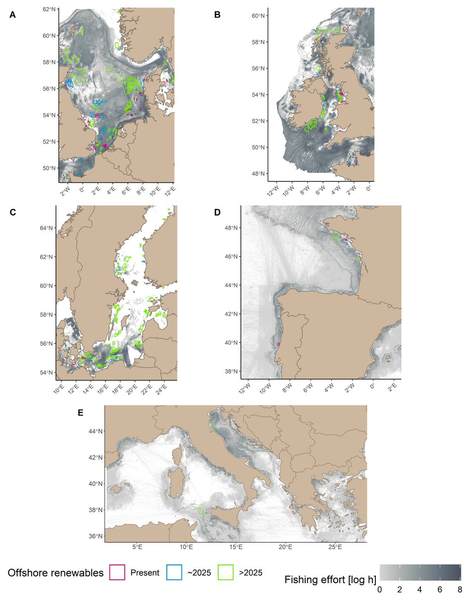 Check out our new ensemble analysis of the impact of #offshorerenewables on European #fisheries detailing future conflict potentials and the role of #MSP authors.elsevier.com/a/1ePbe4s9Hw61… @ICES_ASC @WesleyFlannery @CollMonton @EP_Fisheries @EU_MSP_Platform @AngelBorjaYerro