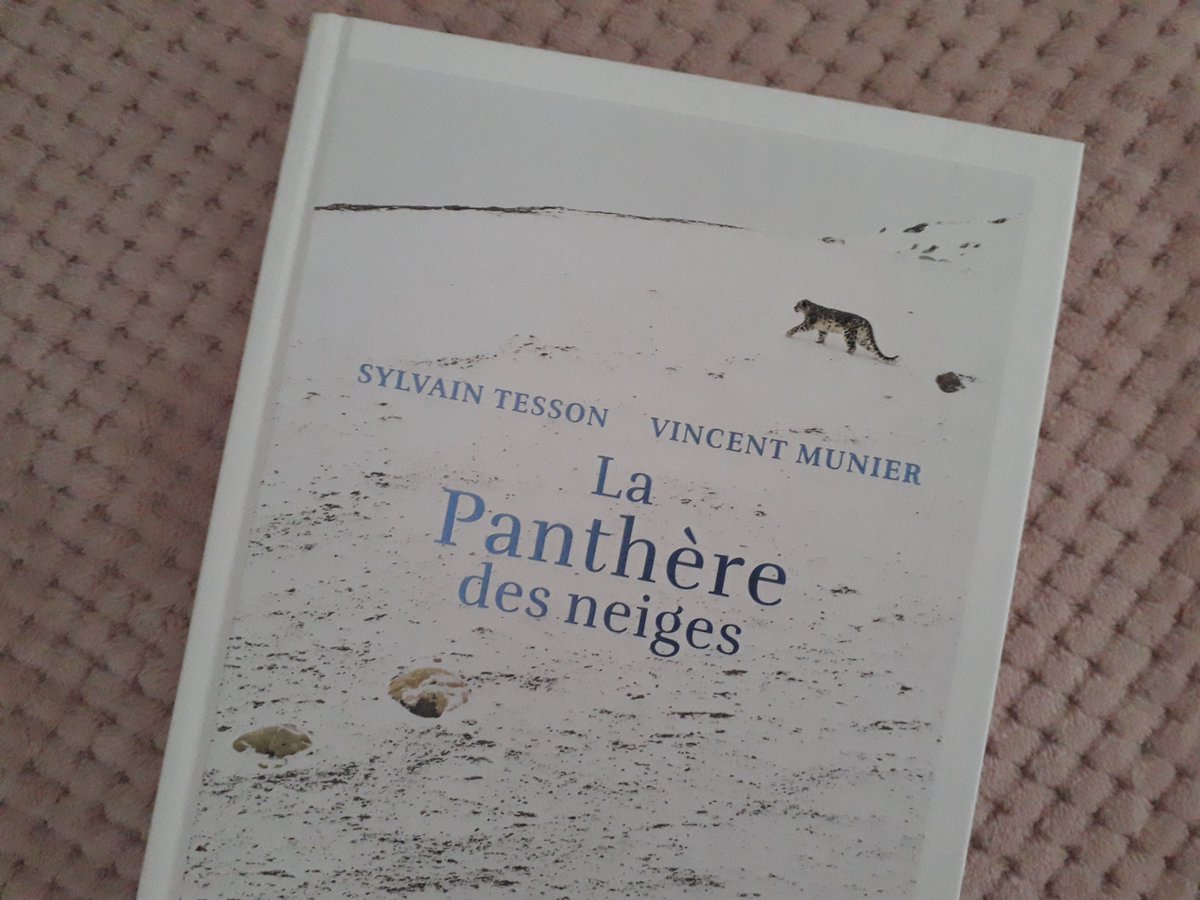 vallyleroy's tweet photo. « J'avais appris que la patience était une vertu suprême, la plus élégante et la plus oubliée. Elle aidait à aimer le monde avant de prétendre le transformer. »

✍ Sylvain Tesson 

Fini ! Une nouvelle #VendrediLecture m'attend aujourd'hui... 📚🥰 https://t.co/0DDWHcFAYv