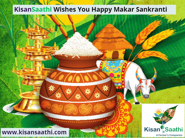 KisanSaathi's tweet photo. https://t.co/O9OlShF0iI