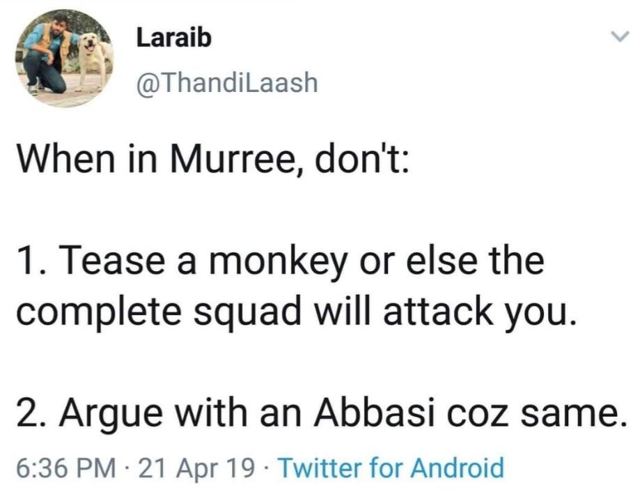 imyawar1001's tweet photo. You will find a parking space difficulty &amp; murree mafia will start argument ke ye hotel ki jaga hay.

#boycottmurree https://t.co/lW4ZR2c2JR