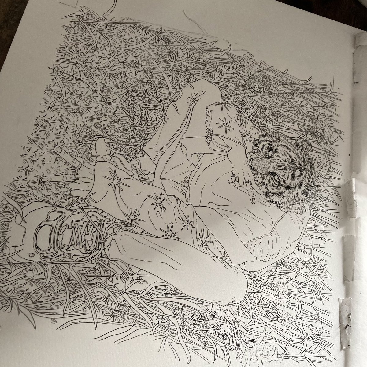 線画〜 