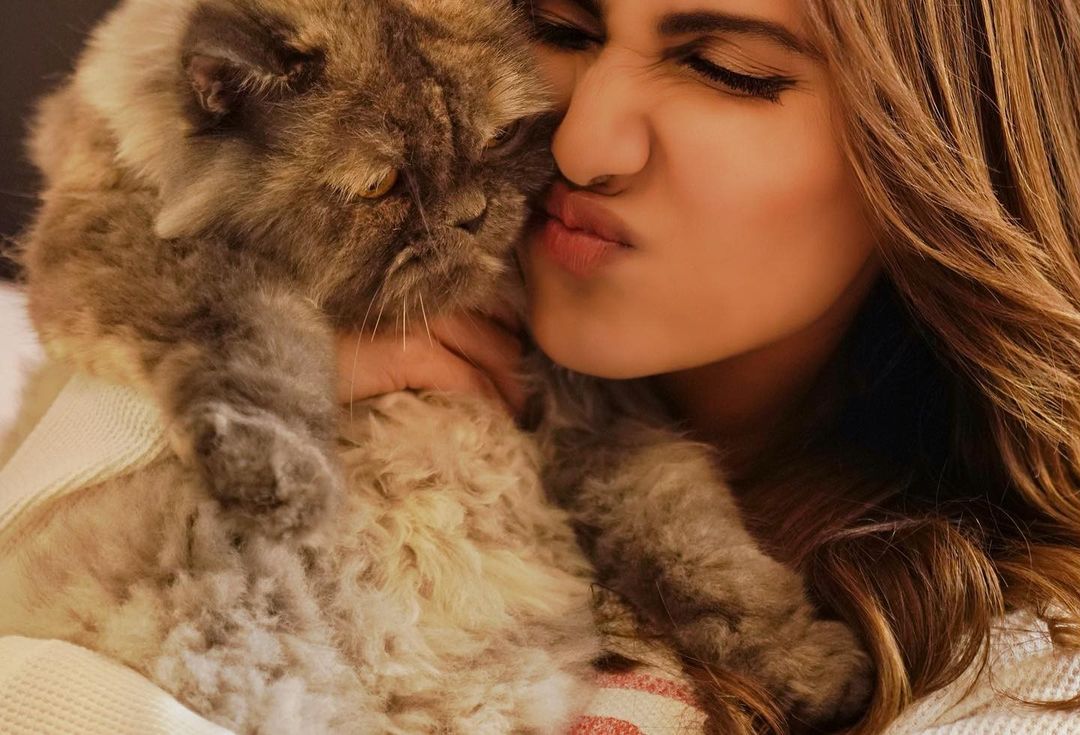 Vaaniofficial's tweet photo. Purr-haps we can cuddle later 😺 https://t.co/Uv9gNHyj99