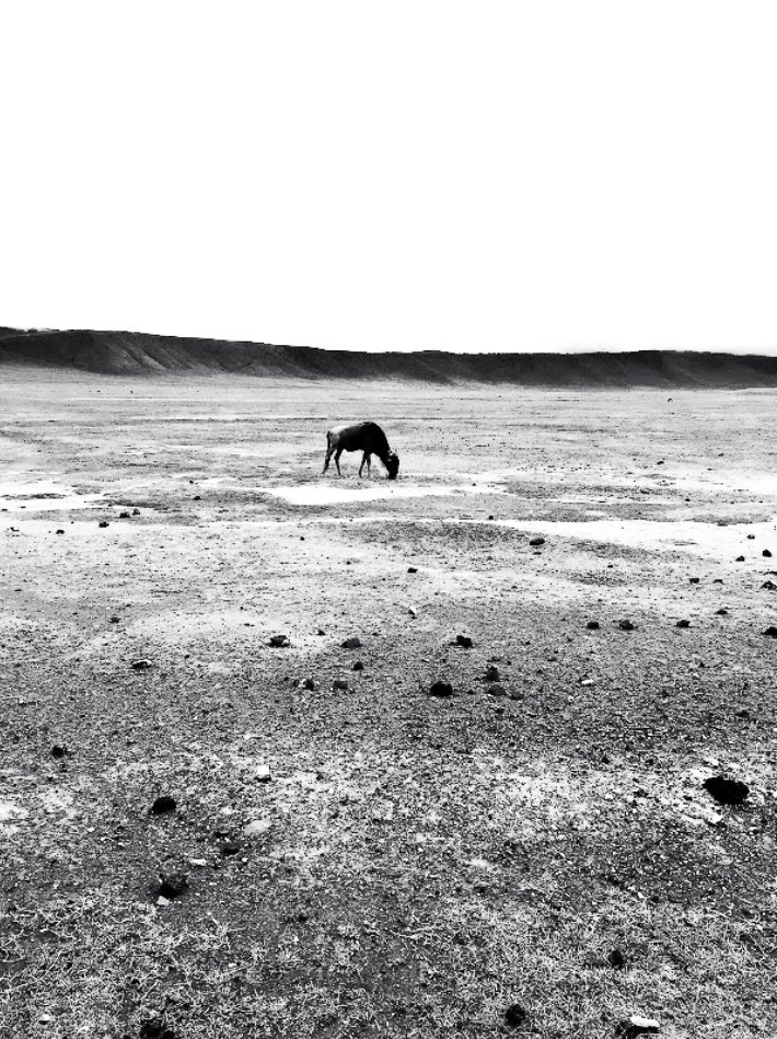 PeopleOf_Uganda's tweet photo. #20 The Plains of the East African Valley.
1/1

https://t.co/txIqKZhUdc

#NFT #nftcollectors #nftart #nftdrop https://t.co/59Z4k7Ol0k