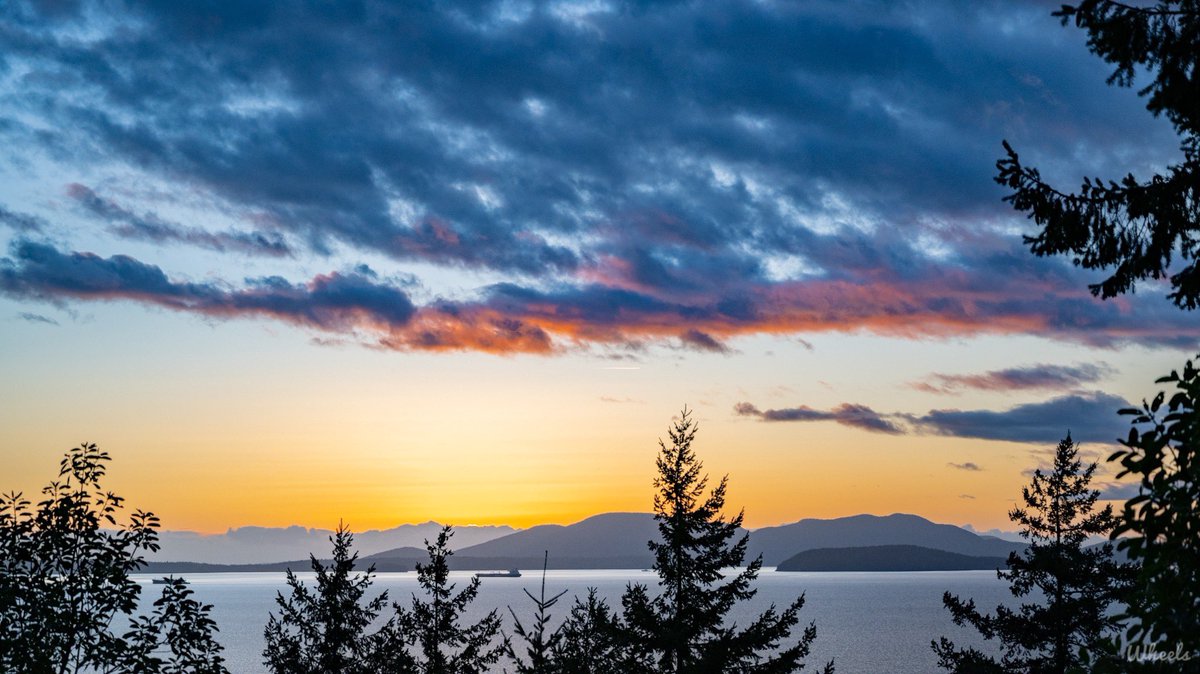wheeler244's tweet photo. That Mile Marker On Chuckanut -
Driving the curvy road during sunset.. trying to find the little perfect spot.. Jack, Vendovi and Cypress Islands off in the distance as the sun sets over the Olympics #wawx #pnw https://t.co/zMPqlDYaXg