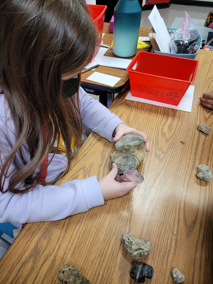 Gena Thomas tweet media