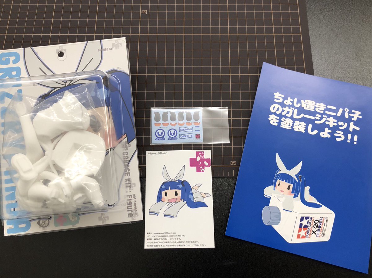 初心者向け🔰練習用ガレージキット 【ちょい置きニパ子】 一部発送完了