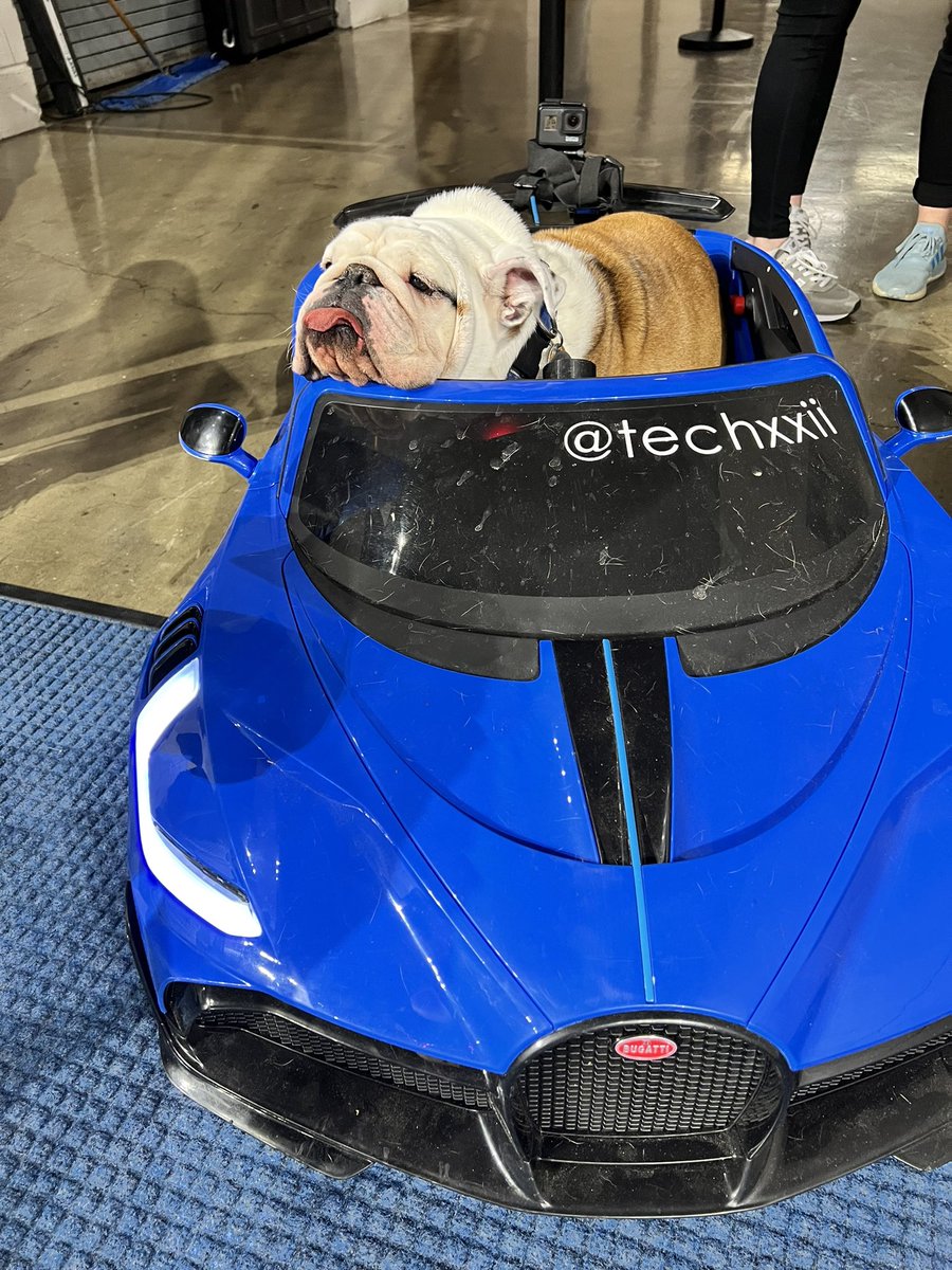 TechXXII's tweet photo. When they told me I had to wait another timeout to go on the court @LATechHoops #mascot #poutyface https://t.co/0qrbSQFzQn