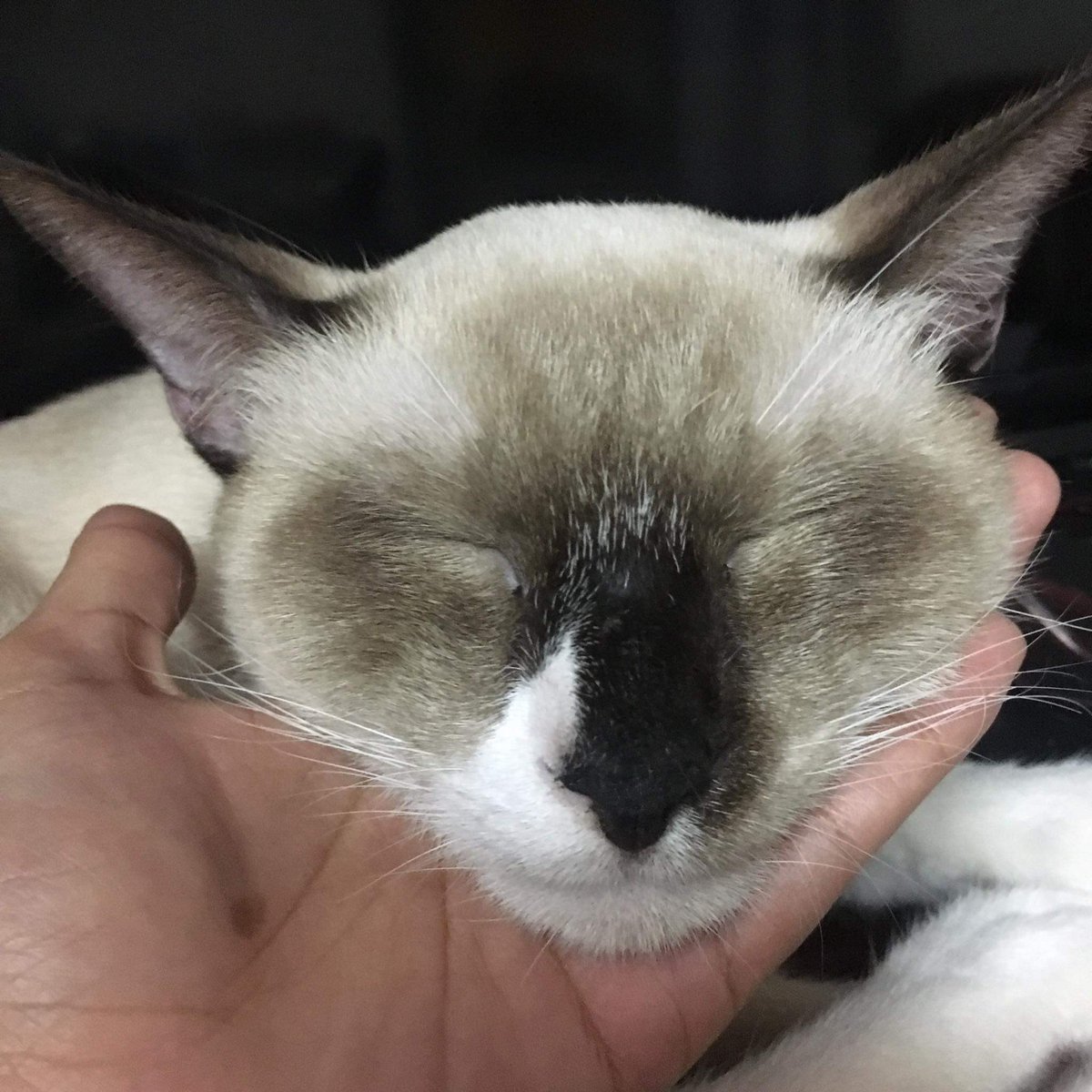 qyaaanna's tweet photo. my forever baby boy https://t.co/lhC9t7hXI6