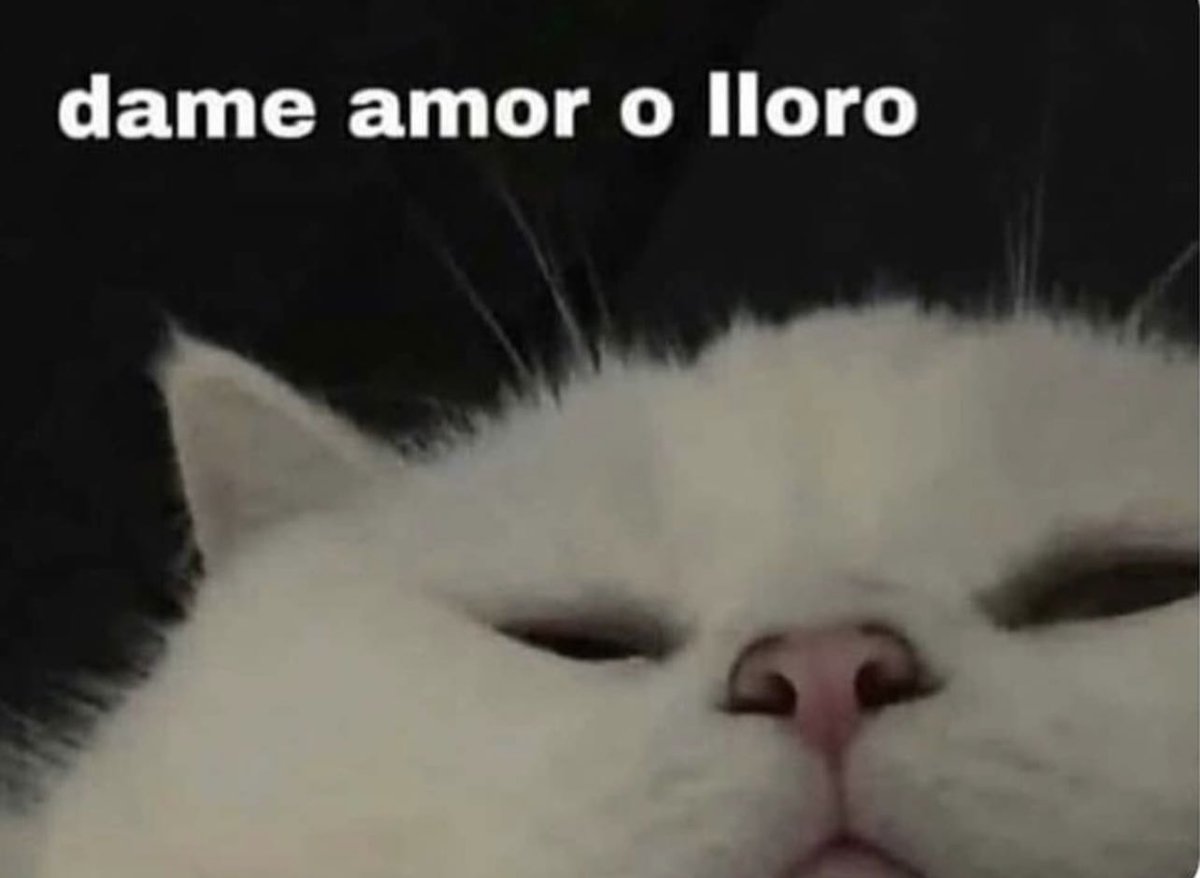 Guarromantico_'s tweet photo. https://t.co/tK1XVxKtb3