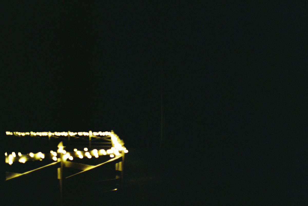 RYDIIV's tweet photo. First time using my camera, some were decent, most were shitty https://t.co/vLeDiovH79
