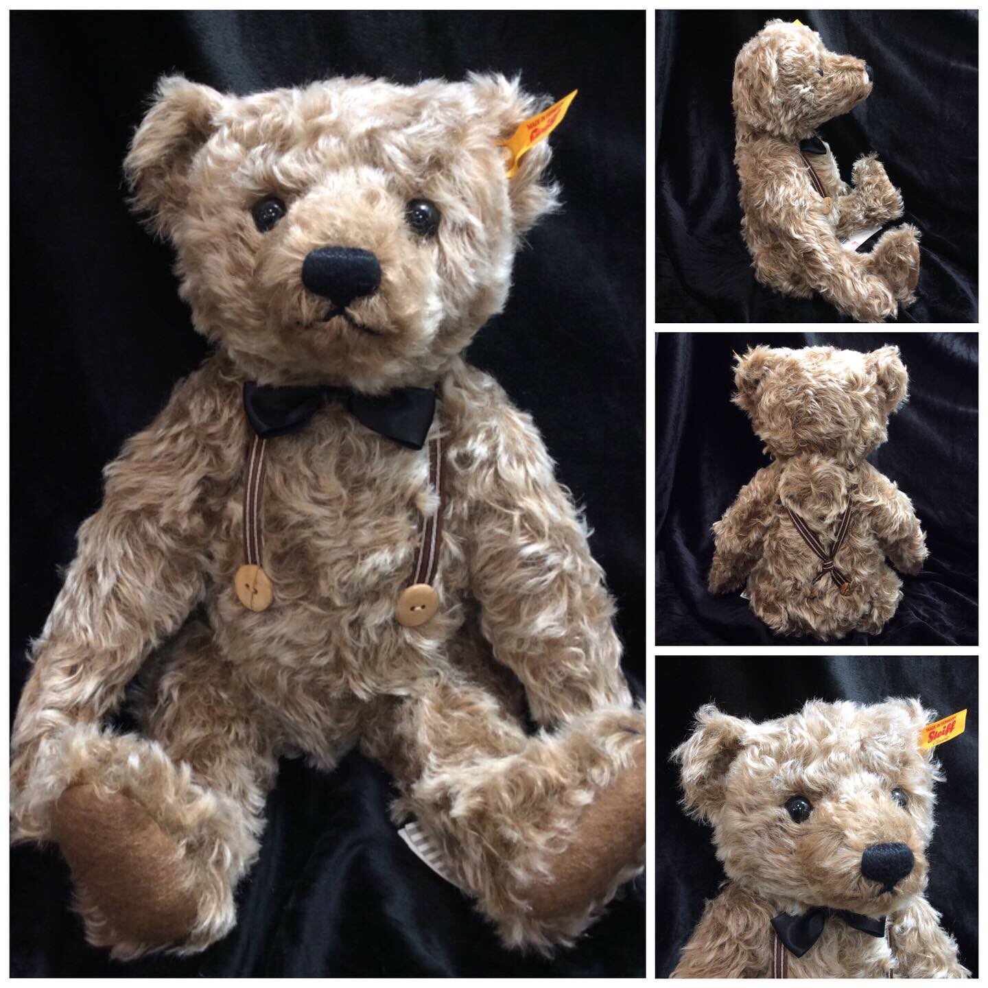 Bear Labo 西武池袋店 on X: 