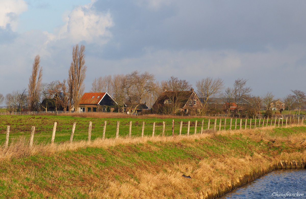 HFrancken's tweet photo. Hoeiemorruhhuh allemaal, mooie vrijdag gewenst! (#Polderleven, #Winterrust,#MooiZeeland) https://t.co/sB0ySZ436g