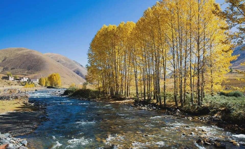 LIsULrbI4lm8hwd's tweet image. 