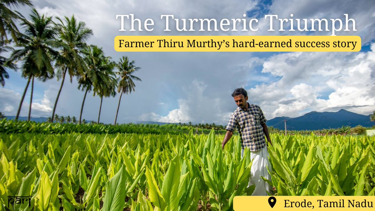 PARInetwork's tweet photo. In the times of golden turmeric latte fad, we bring turmeric farmer Thiru Murthy’s rare and enterprising story – aided by social media, abetted by his ingenuity. A long but must-read by @AparnaKarthi. A Pongal special 

https://t.co/IaVjYzNQr2 | 📷@MPalani17304893 https://t.co/VHVl24y7al