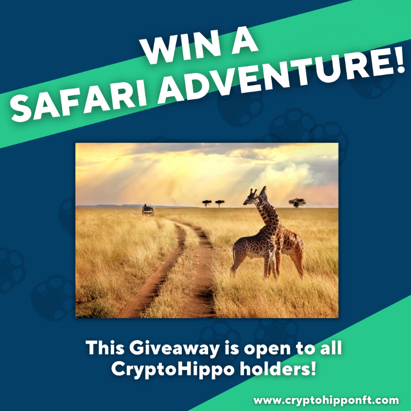 blackswanapp's tweet photo. Coming soon...

✅ 10,000 unique designs
✅ 0.08 ETH mint
✅ FREE stays at our AirBnbs
✅ Tesla Model 3 giveaway

➡️ Turn your 🔔 on
➡️ Follow @CryptoHipposNFT
➡️ Tag 3 friends &amp; keep them in the loop
➡️ Like &amp; RT

See you at The Watering Hole!