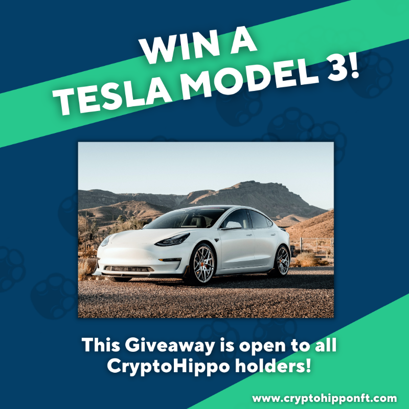 blackswanapp's tweet photo. Coming soon...

✅ 10,000 unique designs
✅ 0.08 ETH mint
✅ FREE stays at our AirBnbs
✅ Tesla Model 3 giveaway

➡️ Turn your 🔔 on
➡️ Follow @CryptoHipposNFT
➡️ Tag 3 friends &amp; keep them in the loop
➡️ Like &amp; RT

See you at The Watering Hole!