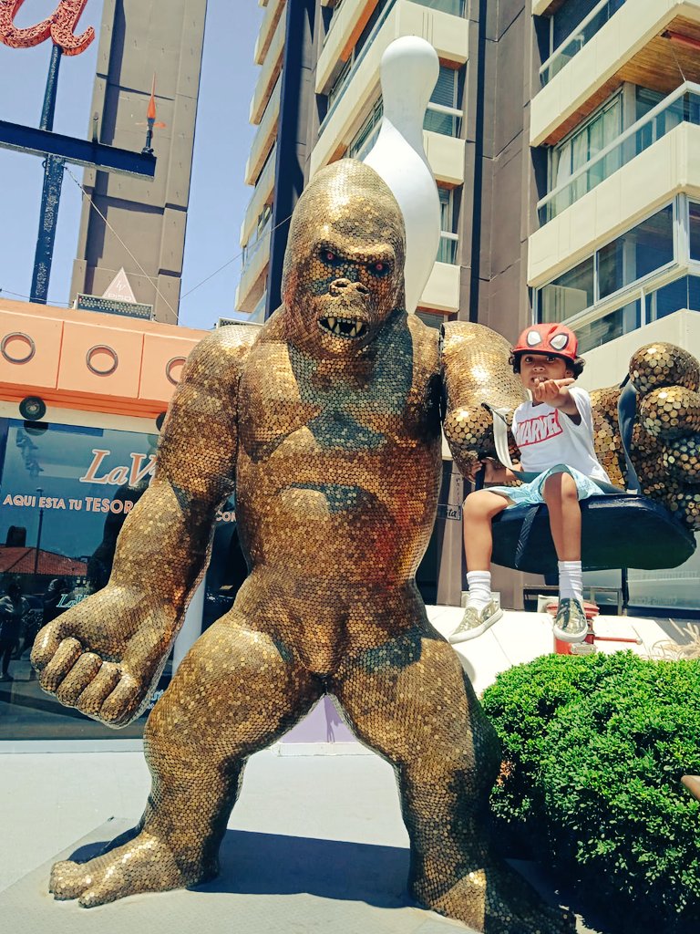 wazeman's tweet photo. Primer viaje del año 🥰 perfect https://t.co/ScYXIDnV1d
