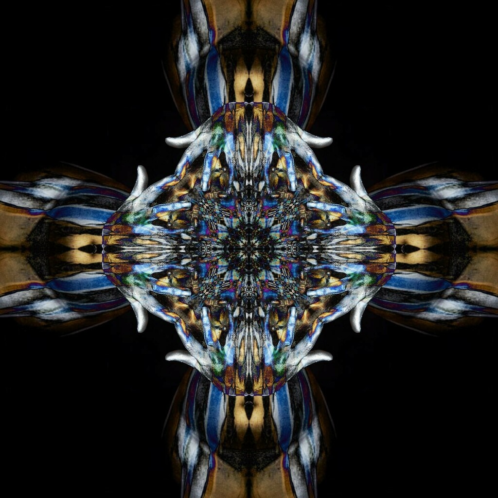 transflexions's tweet photo. TeaFlux #transflexions #digitalart #kaleidoscope #bodypaintart #bodyart https://t.co/ivpuWpr0qN https://t.co/NHyDmtX4HD