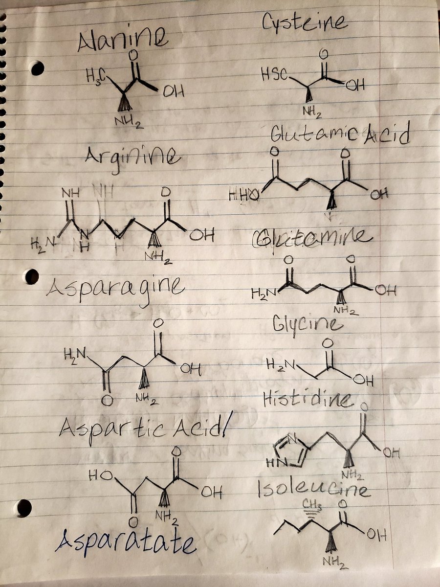 GSmesrud's tweet photo. Exploring new topics! #math #Chemistry https://t.co/Gx8gEDpNHA