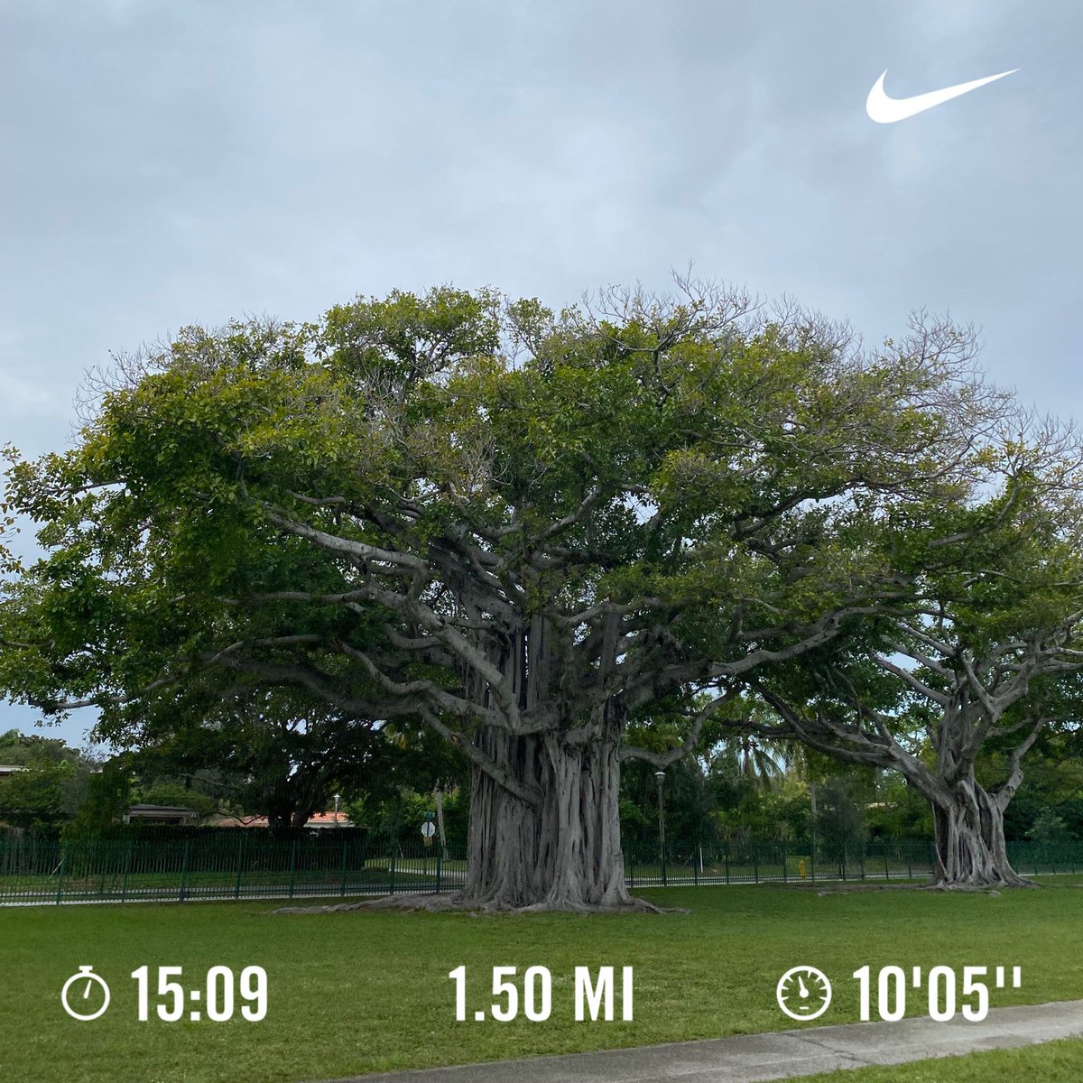 suzywillow's tweet photo. 2022 Run 13: 1.5 miles this morning, quick 15 mins to get body moving & keep the (now 23 consecutive day!) streak going #runningryoos https://t.co/V8IQL1niwF
