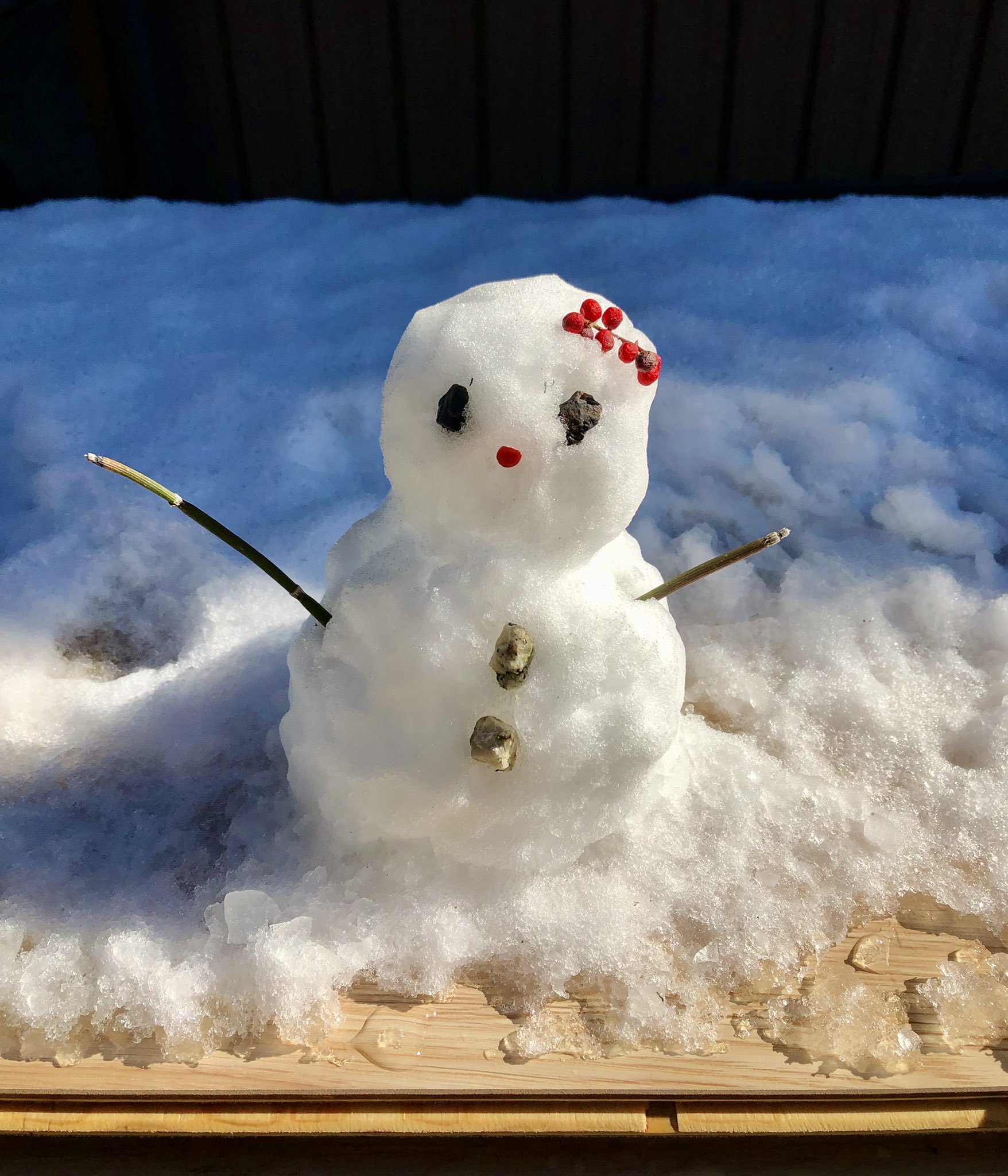 Natsumi 妹がつくった雪だるま可愛い T Co yxvsg02g Twitter