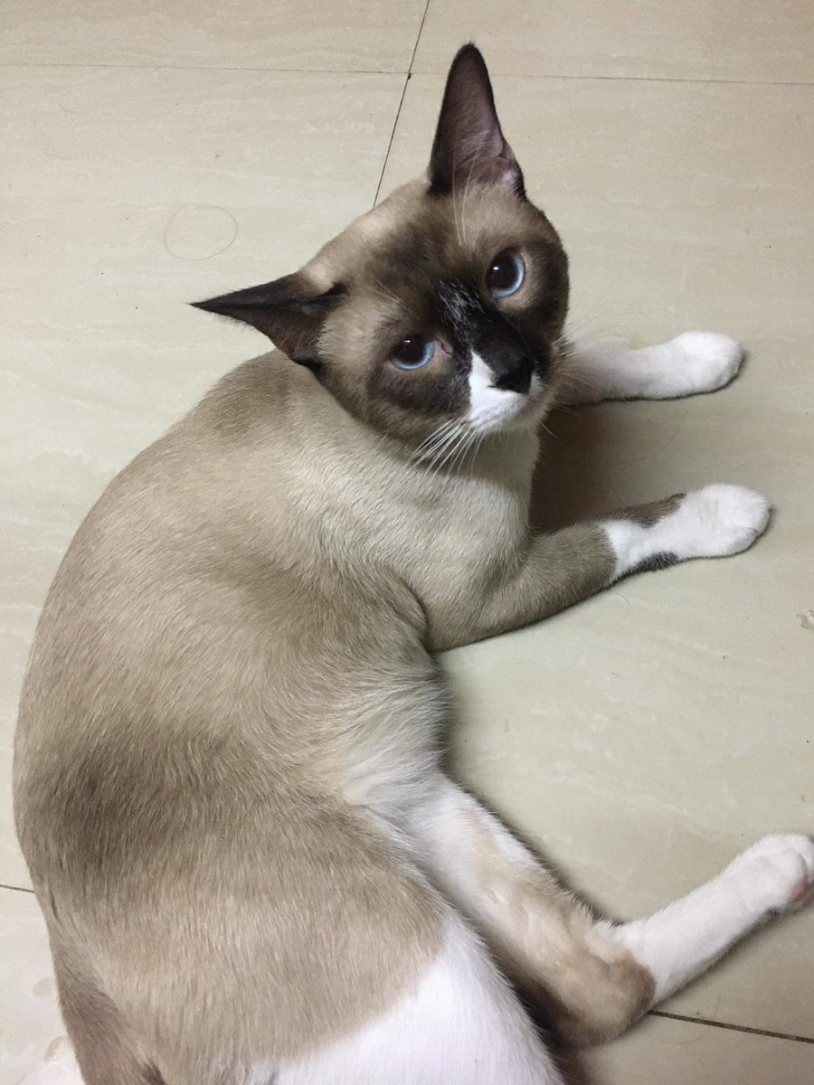 qyaaanna's tweet photo. but sunget kuya 😣 https://t.co/jSJFZNAHjJ