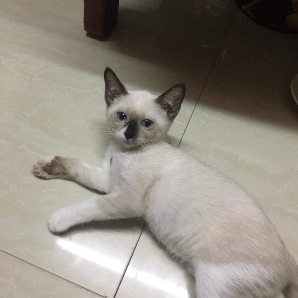 qyaaanna's tweet photo. but sunget kuya 😣 https://t.co/jSJFZNAHjJ