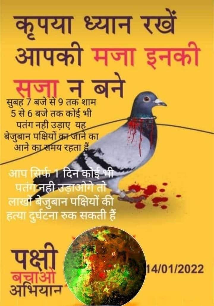 sanjeev jain (@sjain218jain) on Twitter photo 