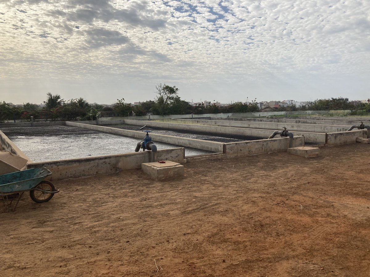 DupeMo's tweet photo. InRUE HEP SSA The Study Tour to UCAD,Dakar continued with visits to industrial borehole fields that supply 50% of the city’s water, and to one of the waste water treatment works.  @RAEngNews @UNOPS_SL @Mletkay https://t.co/Aurl64JfbA