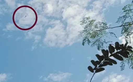 Thanapon Panuwat (👦🇹🇭+🇲🇲) tweet media