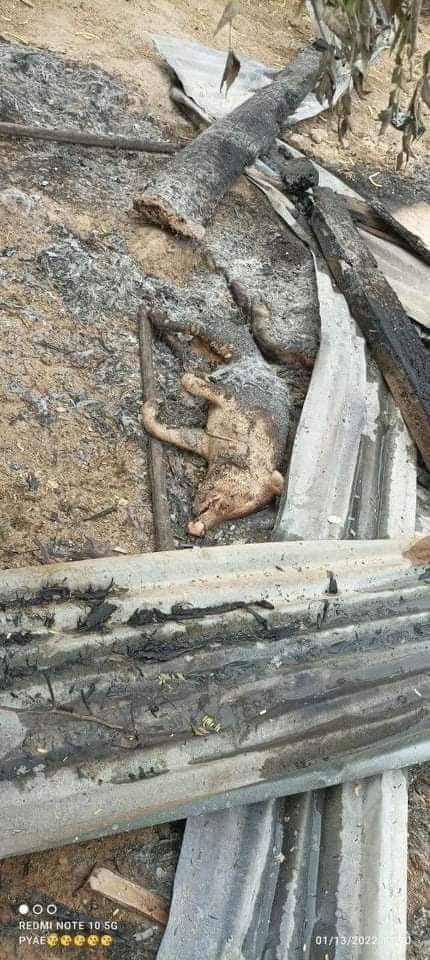 The Irrawaddy (Eng) tweet media