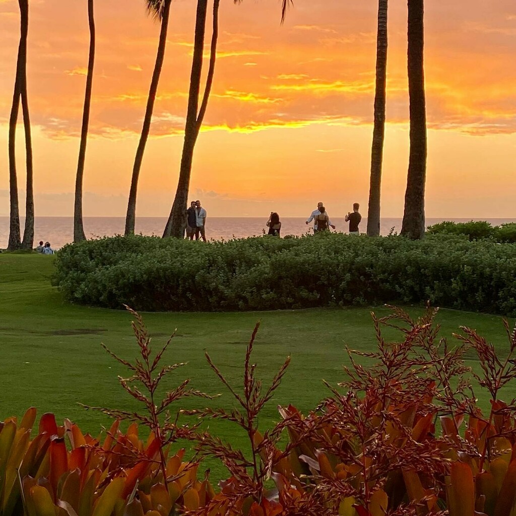 mauimace's tweet photo. About last night #3coursemenu #mauiprivatechef #hawaiiprivatechef #rjgourmetmaui #mauinokaoi #feedingfamilies https://t.co/nYewqo5YT2 https://t.co/HVfSYmHPY9