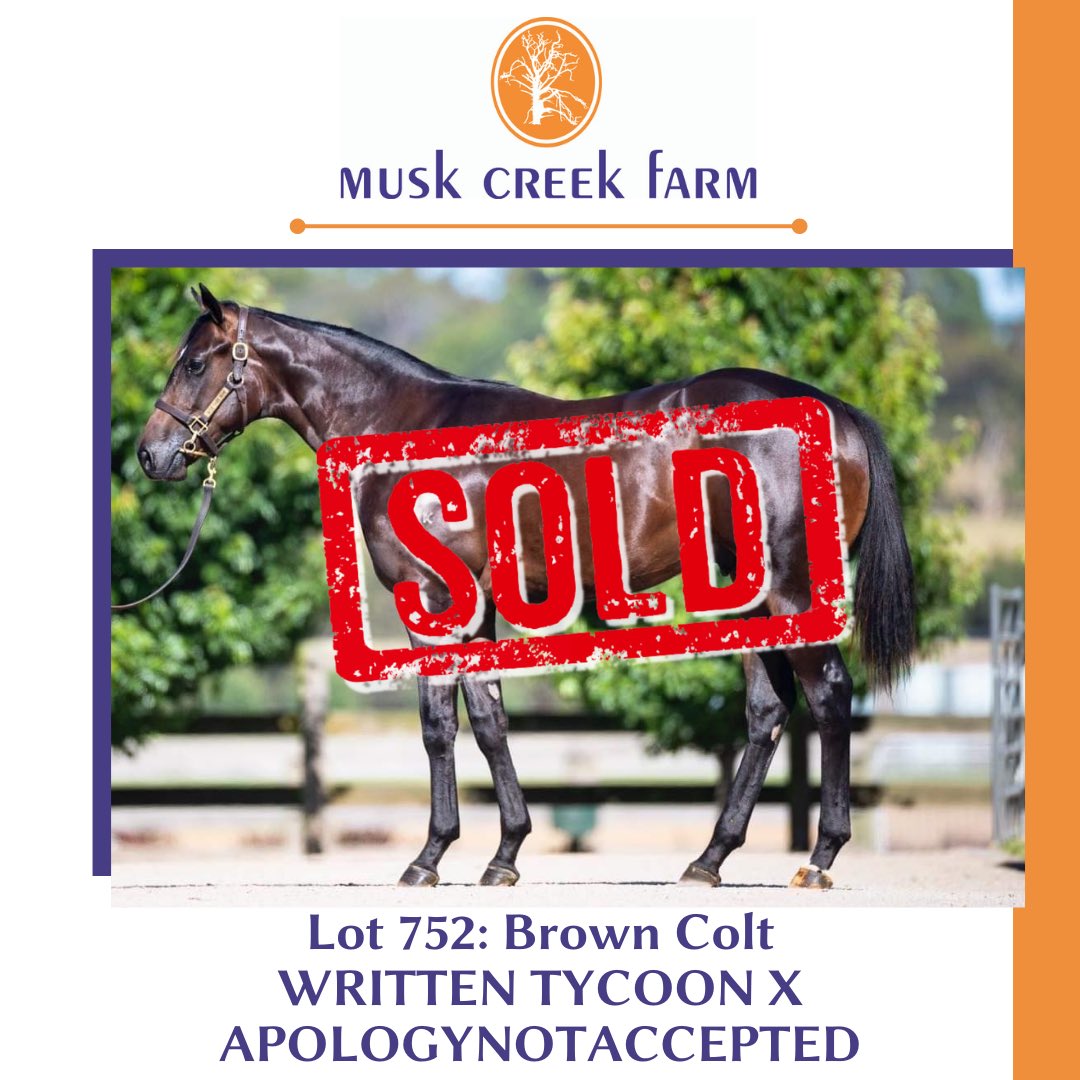 MuskCreekFarm's tweet photo. Such a fantastic result for the @MuskCreekFarm team, selling the Written Tycoon x Apologynotaccepted colt (Lot 752) for $500,000 @mmsnippets, purchased by the Victorian Alliance - @RosemontStud, @shbloodstock & @dredvers 🙌🏻🙌🏻
#kuality #peninsulapower https://t.co/ekOiXq6hzK
