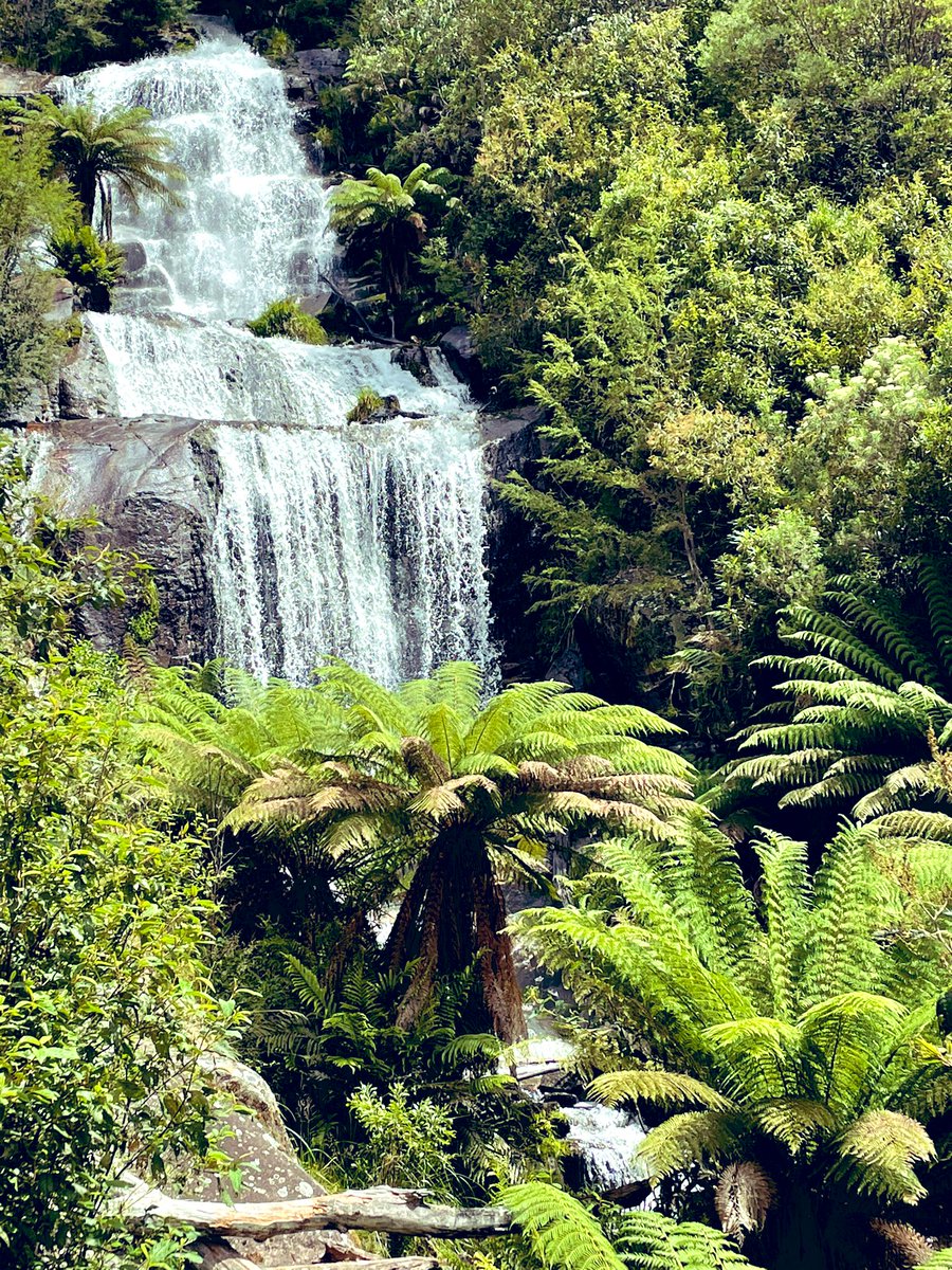 sjturn's tweet photo. Afternoon up at #fainterfalls, #alpinegetaway #alpineviews #summervibes #holidaymood #naturewalk https://t.co/Od8U1fVAJr