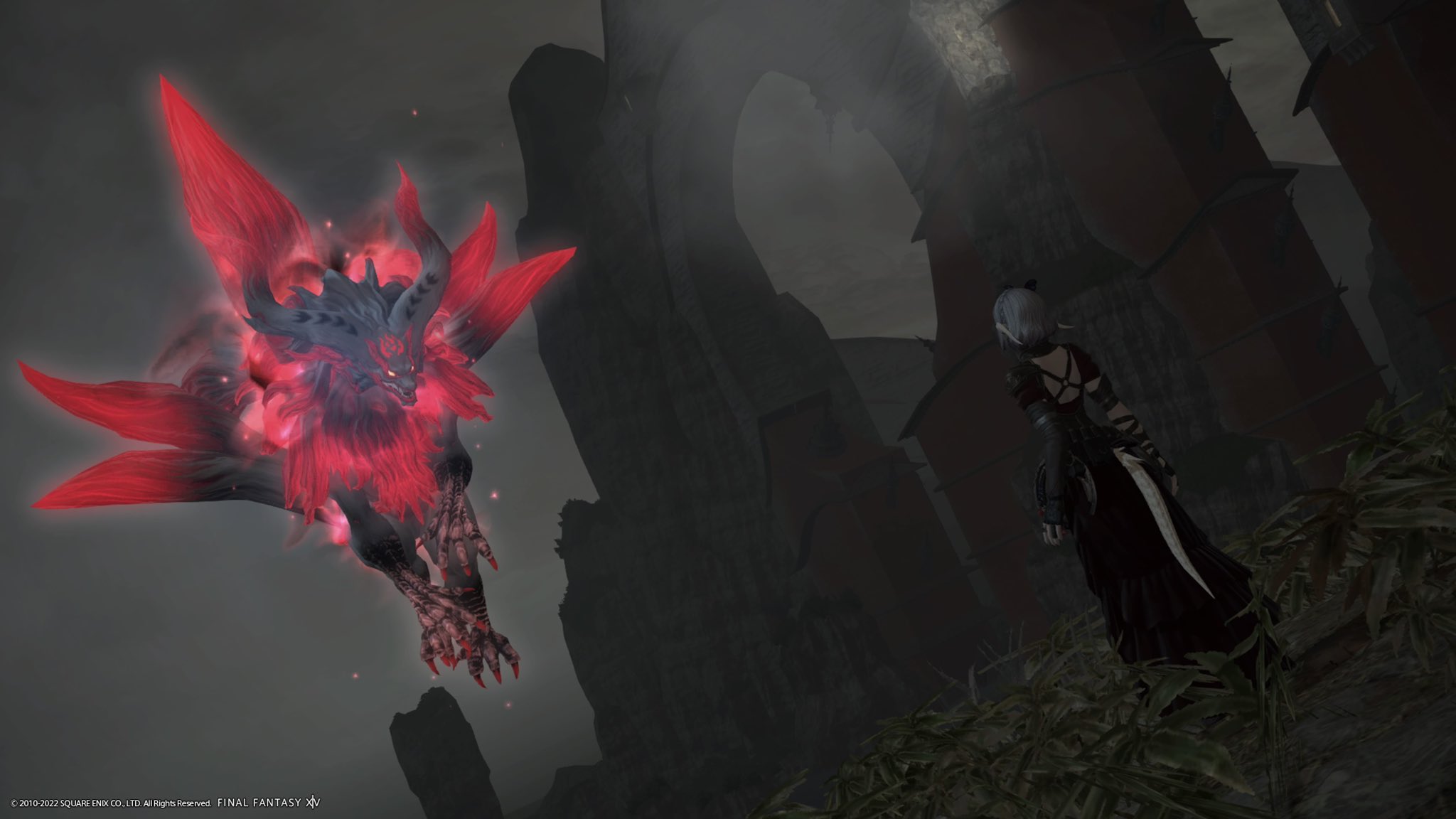 犬マウント Twitter Search Twitter