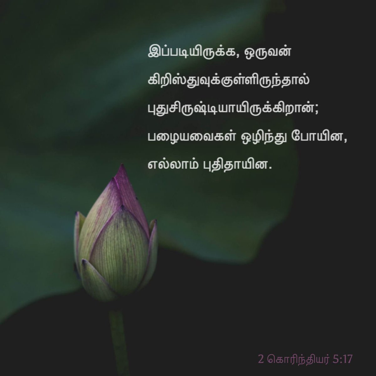 thensbtech's tweet image. Therefore if any person is [ingrafted] in Christ (the Messiah) he is a new creation (a new creature altogether); the old [previous moral and spiritual condition] has passed away. Behold, the fresh and new has come!
2 Corinthians 5:17 AMPC
bible.com/bible/8/2co.5.…