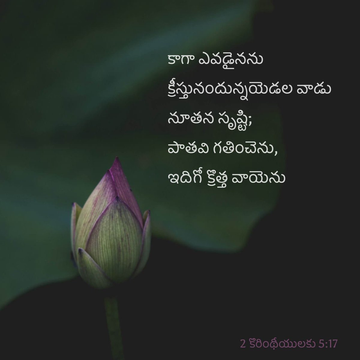 thensbtech's tweet image. Therefore if any person is [ingrafted] in Christ (the Messiah) he is a new creation (a new creature altogether); the old [previous moral and spiritual condition] has passed away. Behold, the fresh and new has come!
2 Corinthians 5:17 AMPC
bible.com/bible/8/2co.5.…